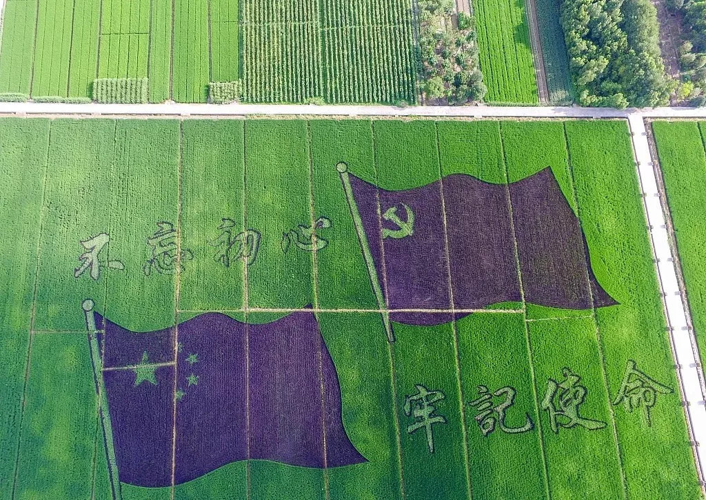 稻田畫盤活田園經(jīng)濟(jì)，景觀農(nóng)田推動鄉(xiāng)村振興
