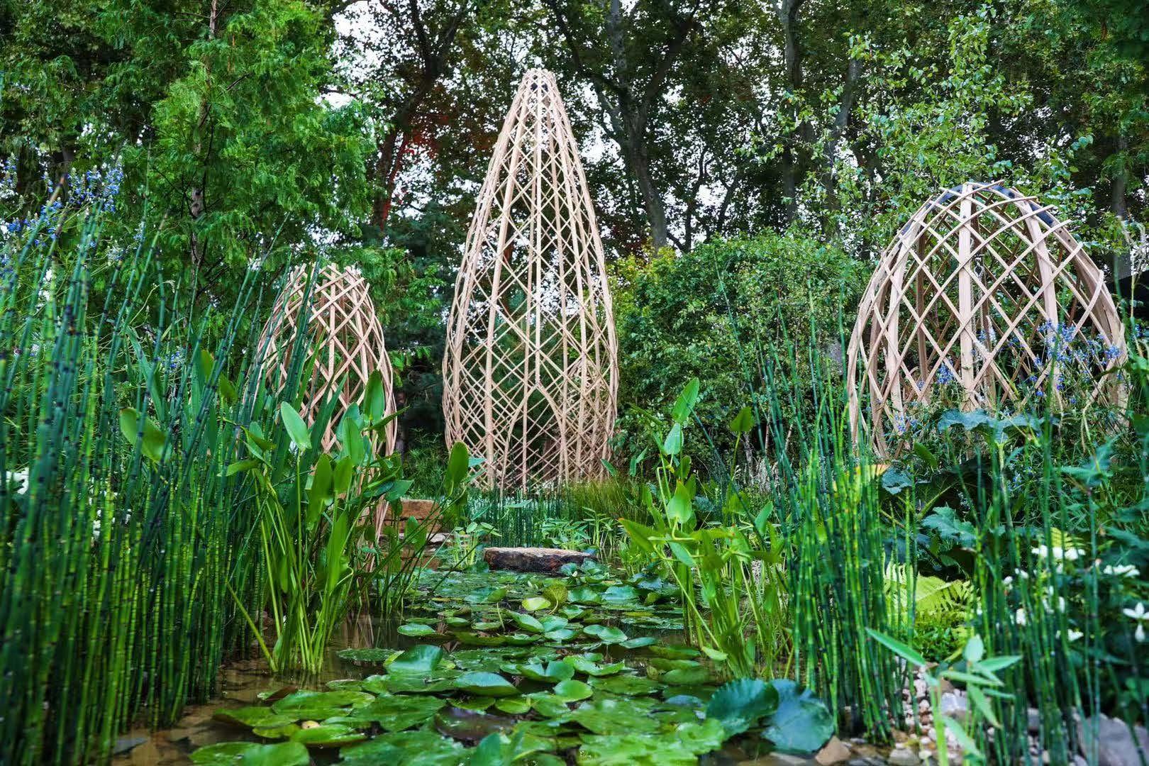 以花為媒，講好中國故事：“廣州花園”獲得百年切爾西花展金獎