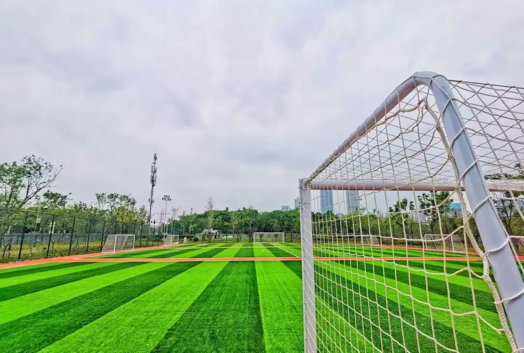 以人口為“定位器”布局體育公園，彰顯民生含金量