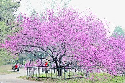 人居要聞|國家植物園，不只是看起來很美