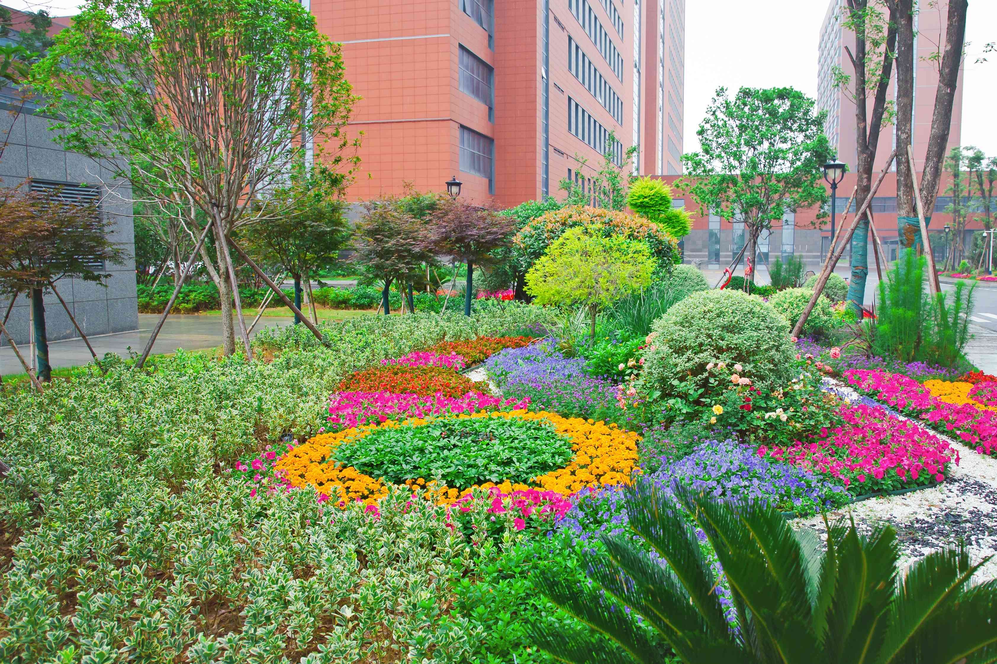 人文花園 (2).jpg