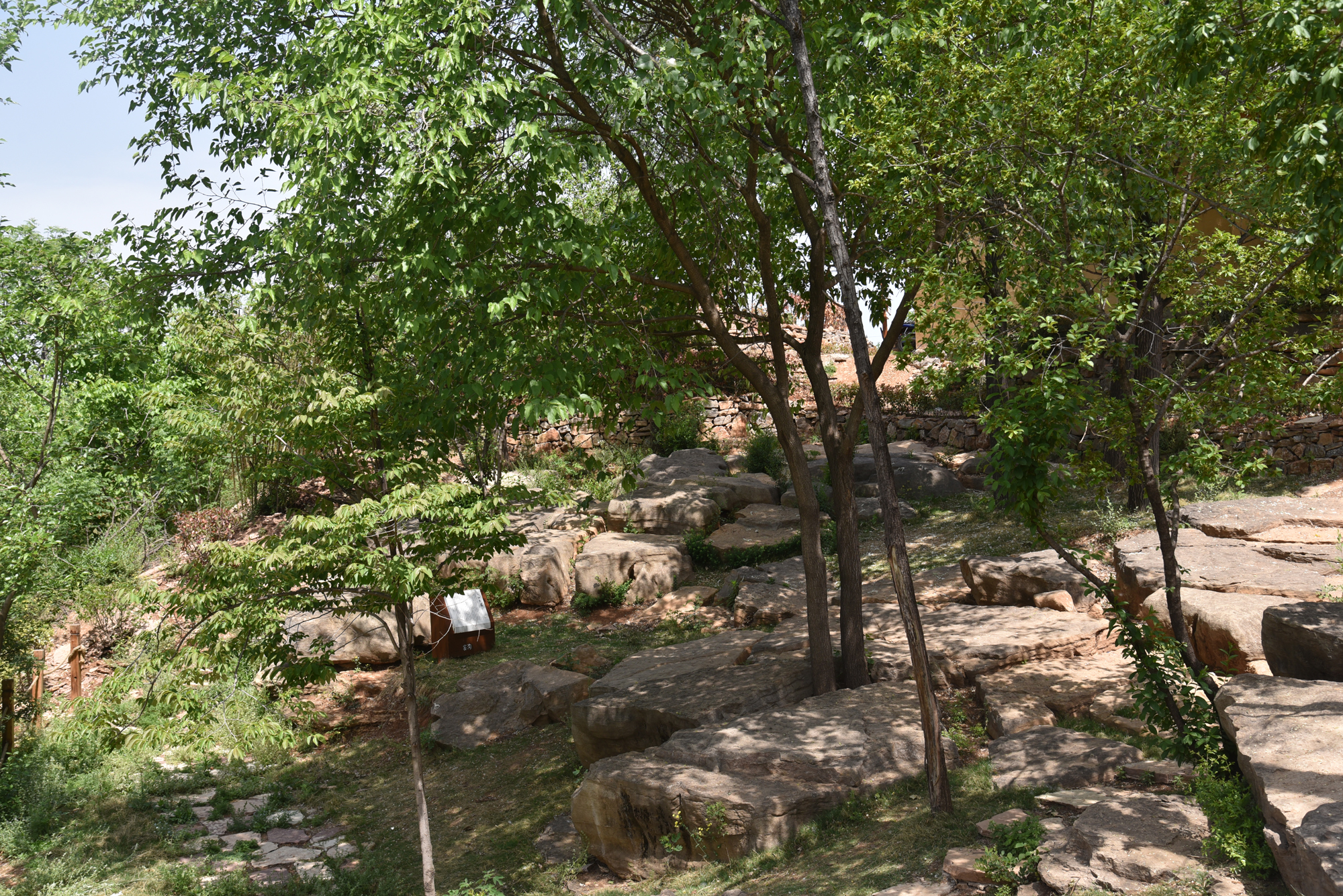 4.原鄉(xiāng)文化-風(fēng)脈石林、八仙臺.JPG